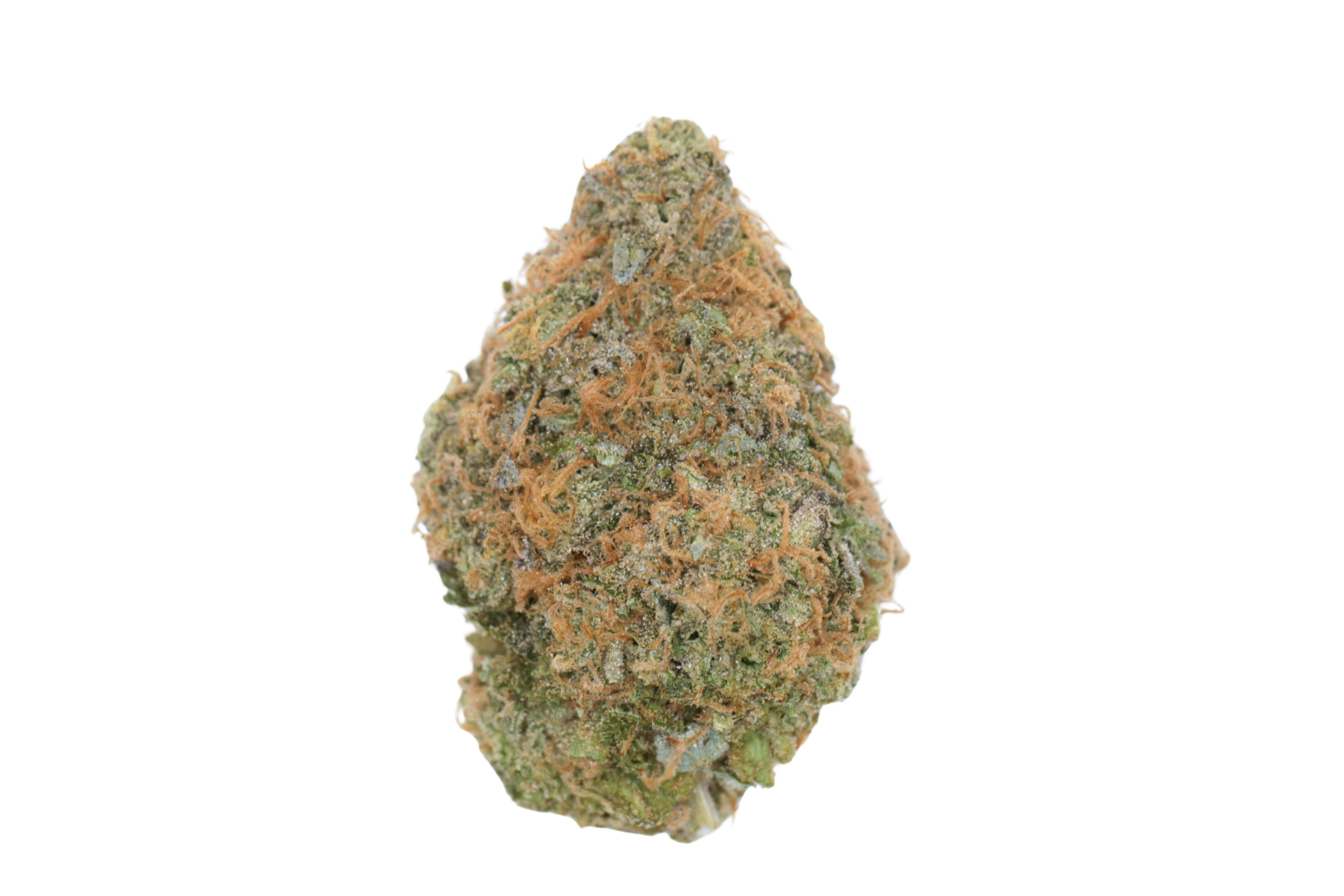 Prūf Cultivar | Too Much Maple #2 | Flower | 7G by Prūf Cultivar