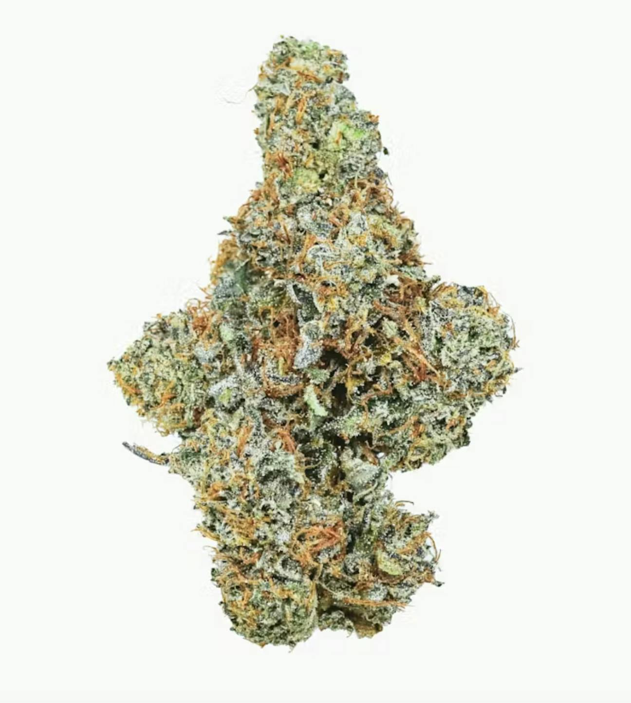 Prūf Cultivar: Sunshine Lime