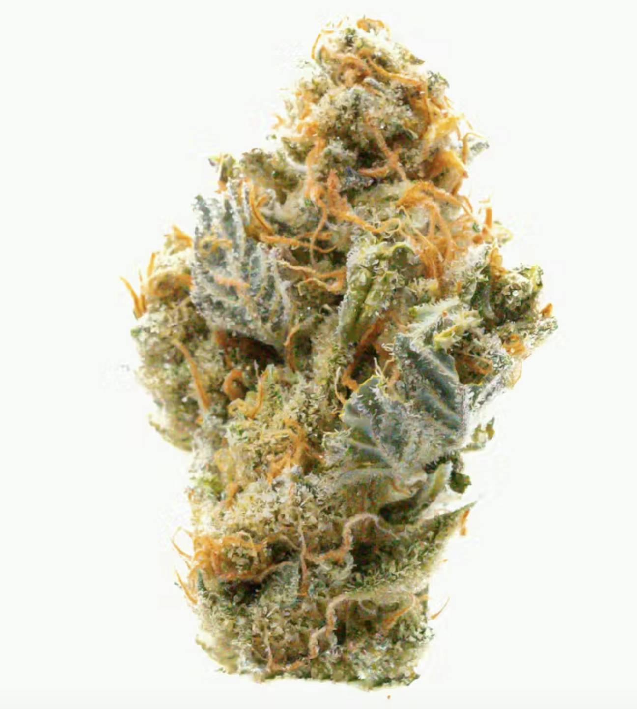 Prūf Cadillac Rainbows Flower