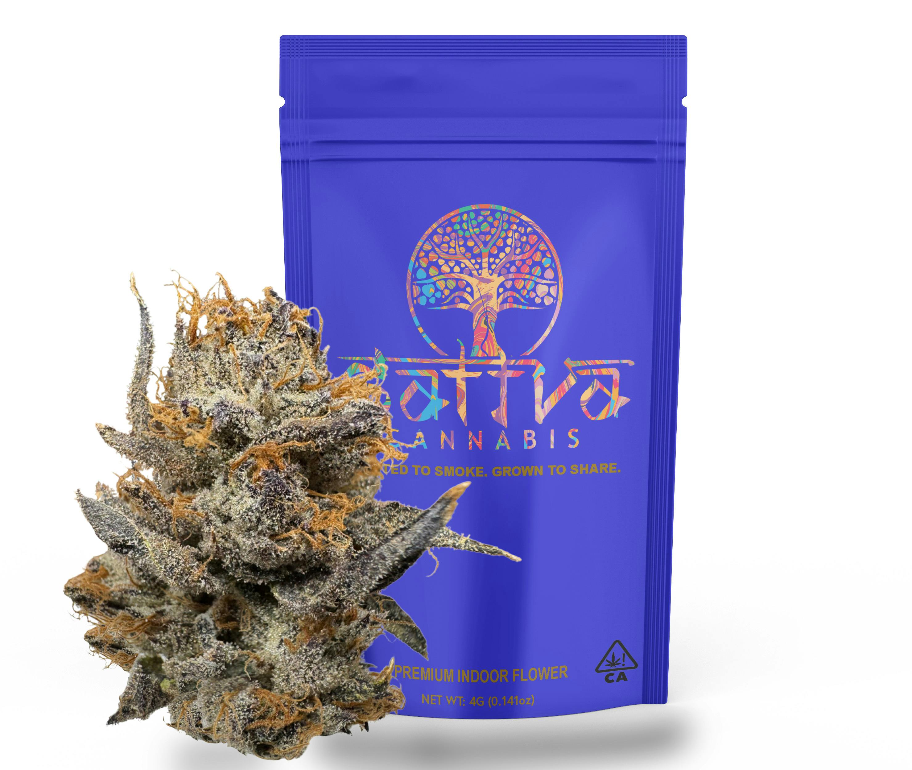 Blue Nerds Premium Indoor