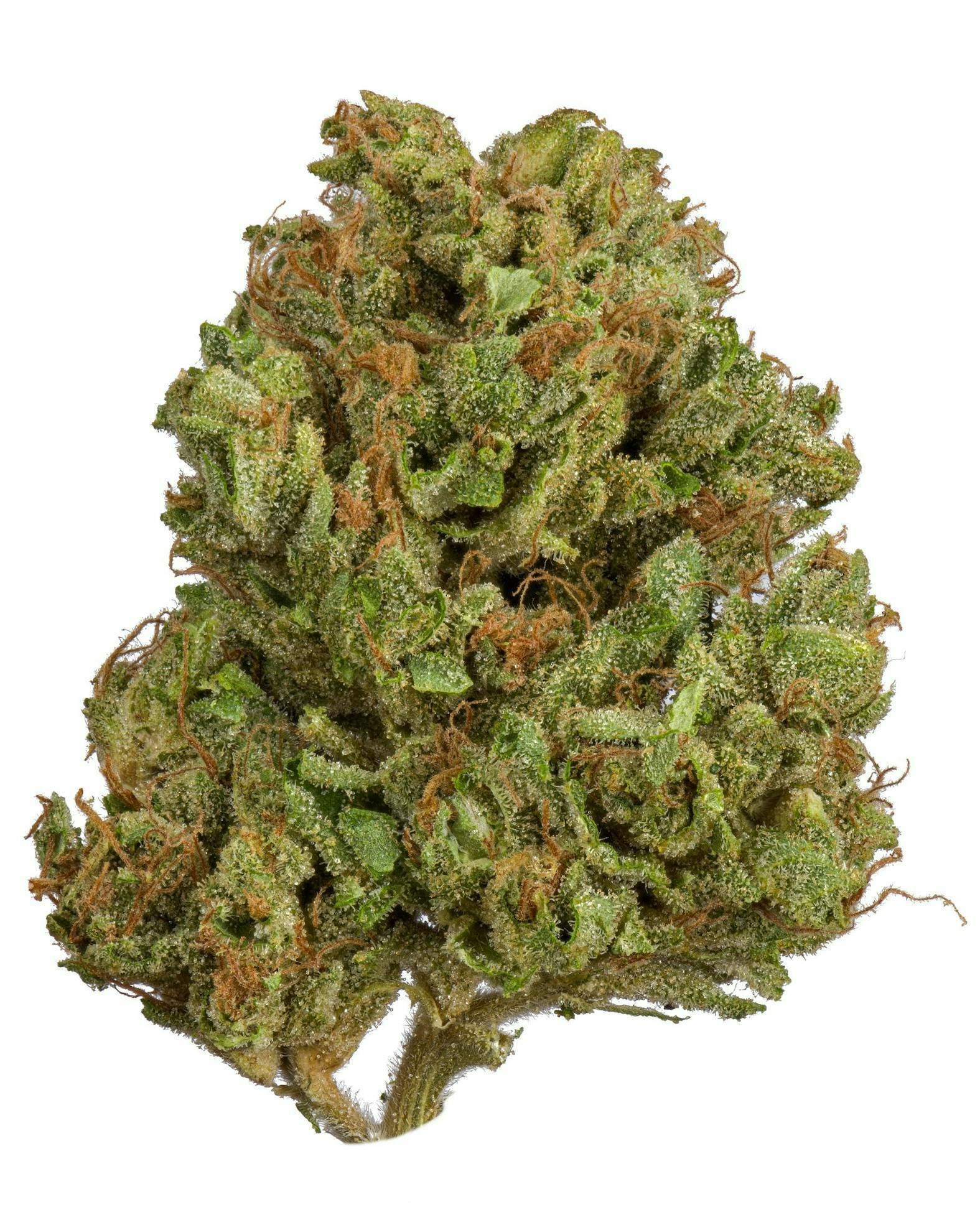Talking Trees Farms — Strawberry Pop