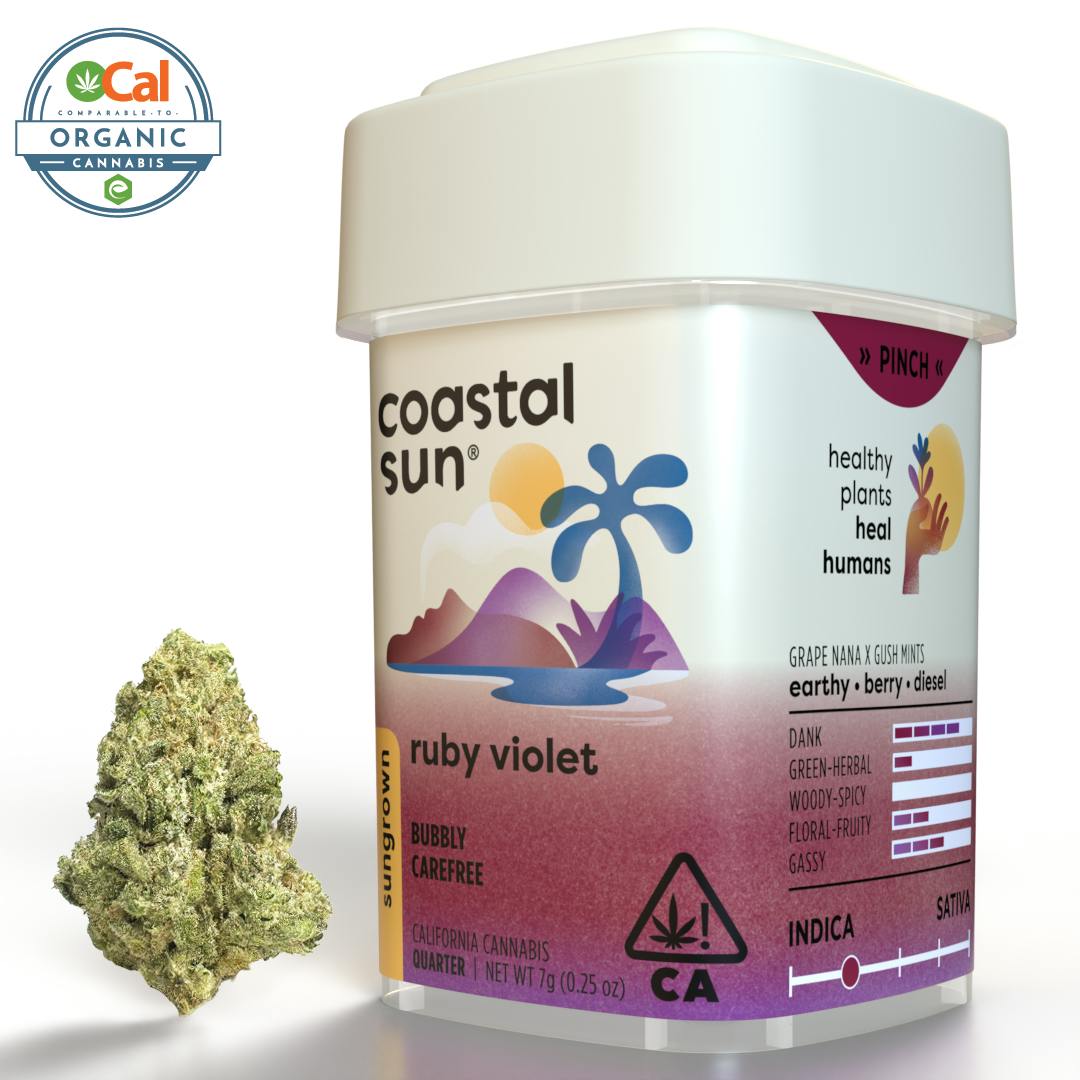 Coastal Sun — Ruby Violet