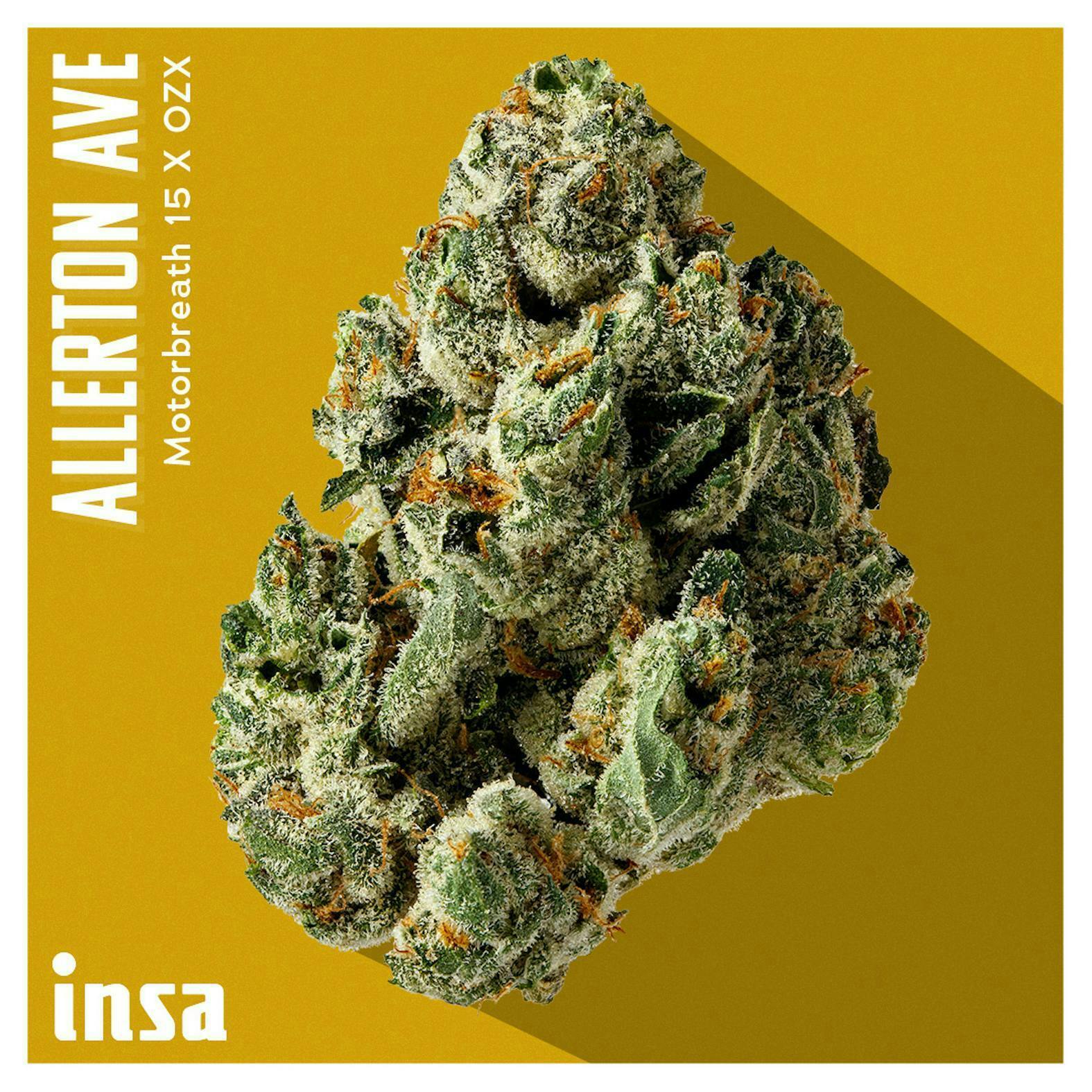INSA - Allerton Ave - 3.5g Flower by Insa