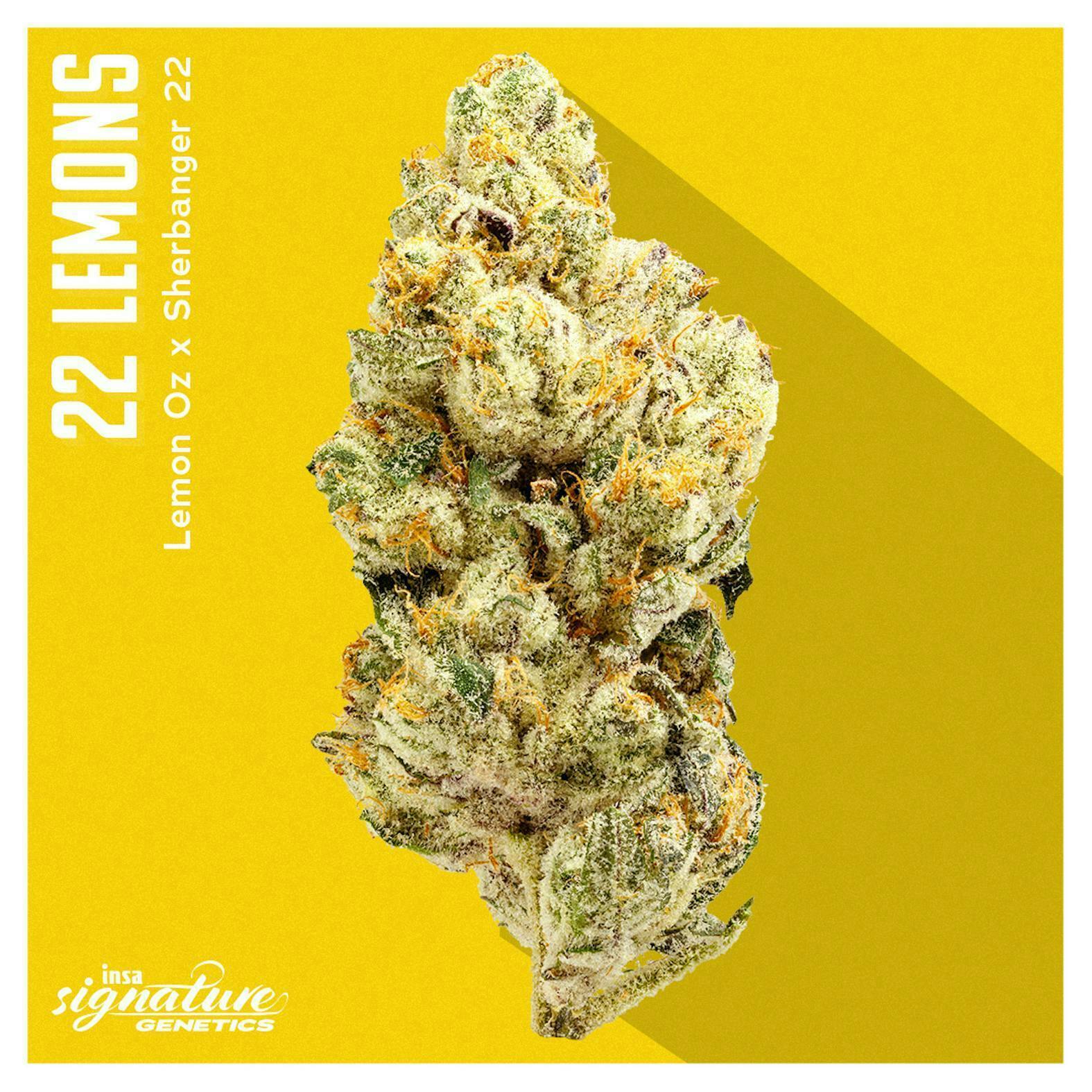 INSA - 22 Lemons - 3.5g Flower