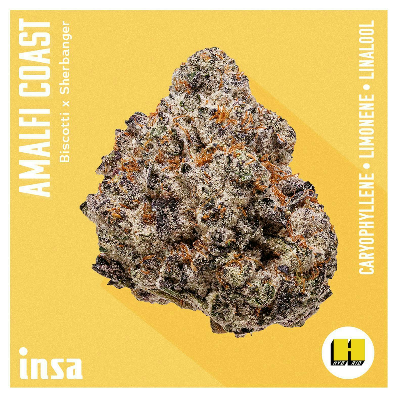 INSA - Amalfi Coast - 3.5g Flower by Insa