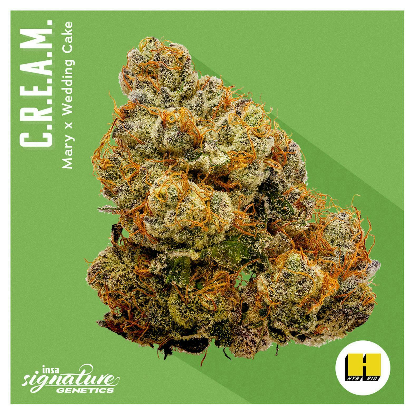 INSA - C.R.E.A.M. - 28g Large Pack Flower - INSA