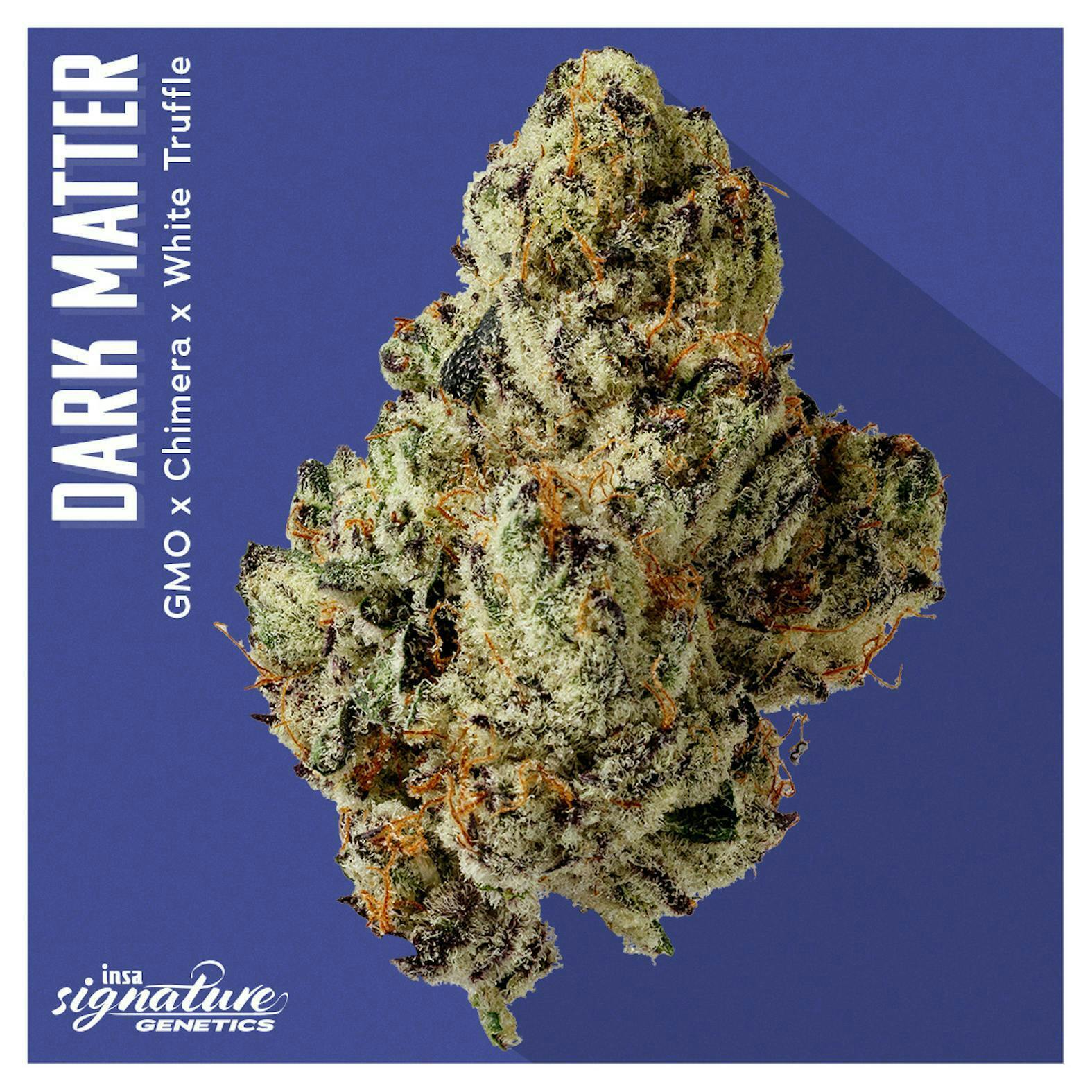 INSA - Dark Matter - 3.5g Flower by Insa