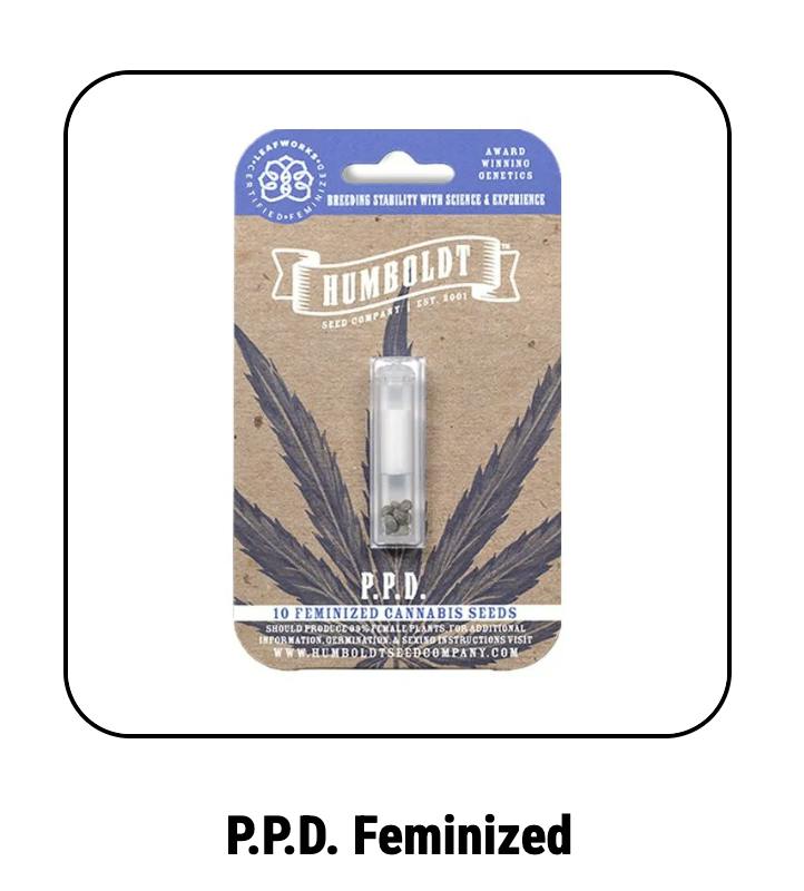 Humboldt Seed Company | P.P.D | Feminized Seeds