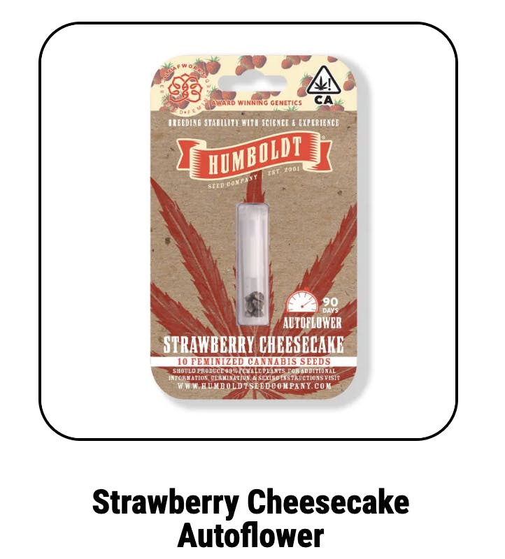 Strawberry Cheesecake Autoflower Seeds