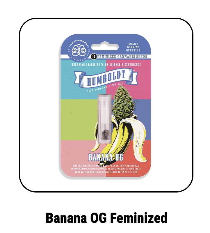 Humboldt Seed Company | Banana OG | Feminized Seeds by Humboldt Seed Company