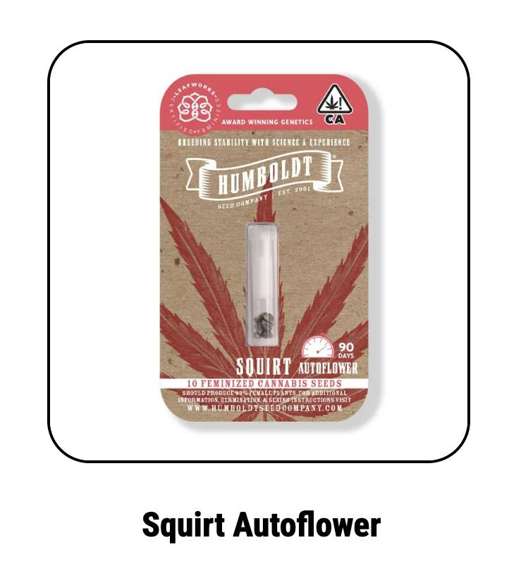Humboldt Seed Company | Squirt | Autoflower Seeds