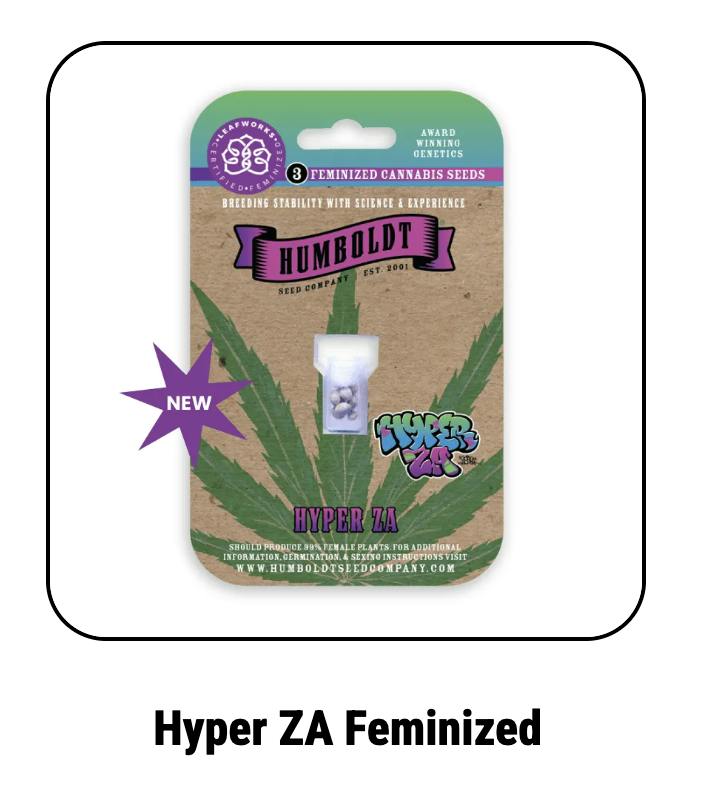 Humboldt Seed Company | Hyper ZA | Feminized Seeds by Humboldt Seed Company