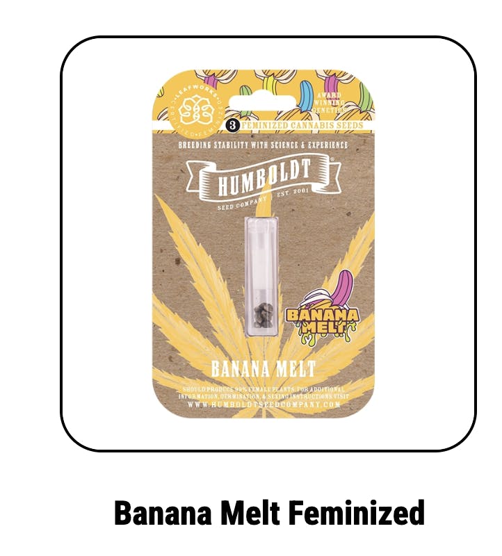 Company Banana Melt