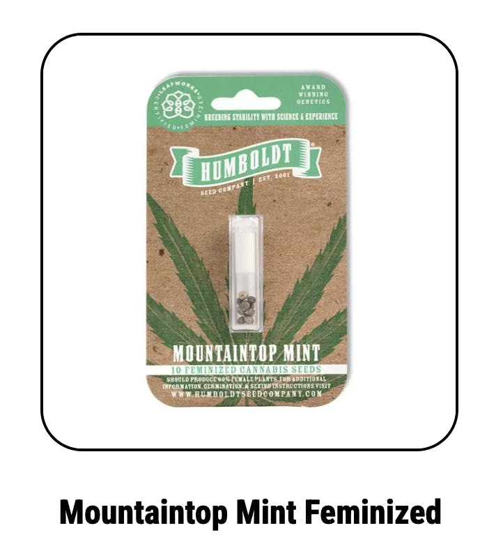 Mountaintop Mint Feminized Seeds
