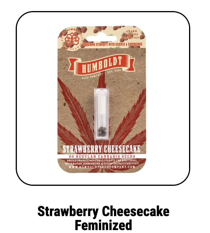 Strawberry Cheesecake Feminized Seeds