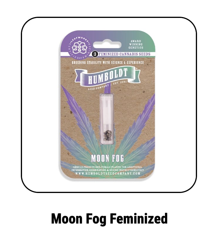 Moon Fog Feminized Seeds