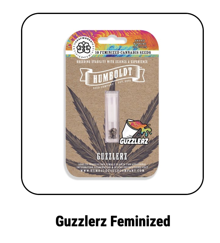 Guzzlerz Feminized Seeds