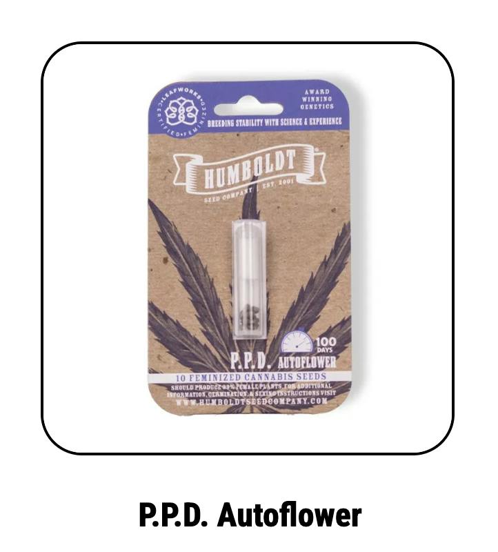 Humboldt Seed Company | P.P.D. | Autoflower Seeds