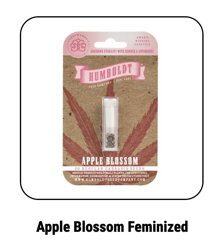 Humboldt Seed Company | Apple Blossom | Feminized Seeds by Humboldt Seed Company