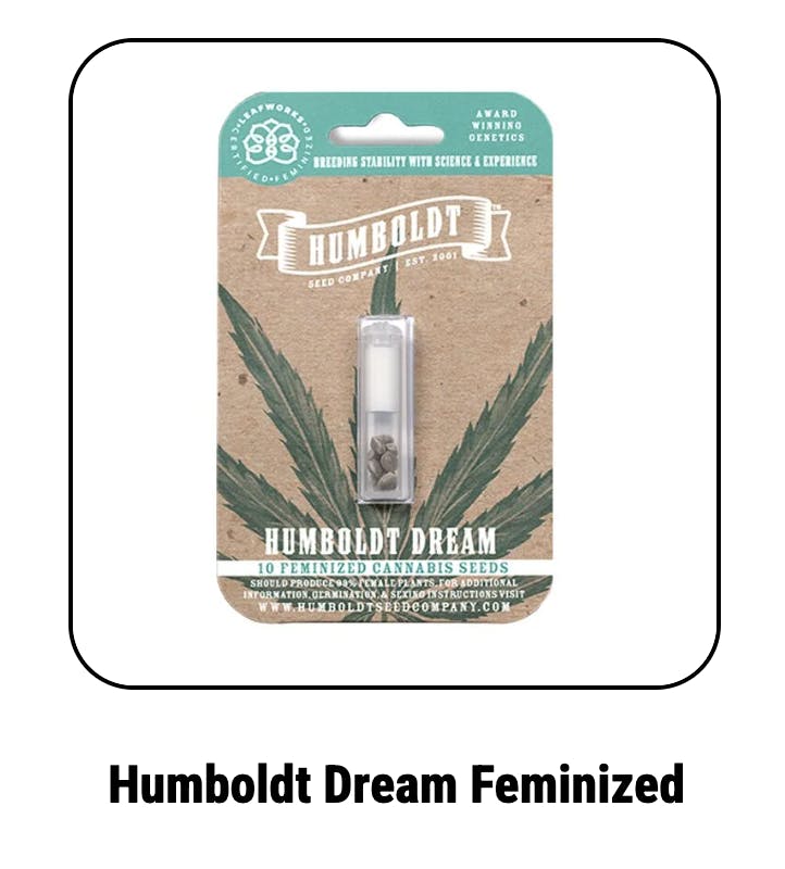 Dream Feminized Seeds
