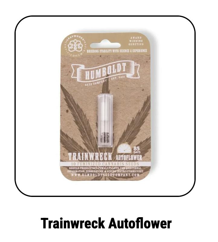 Humboldt Seed Company | Trainwreck | Autoflower Seeds