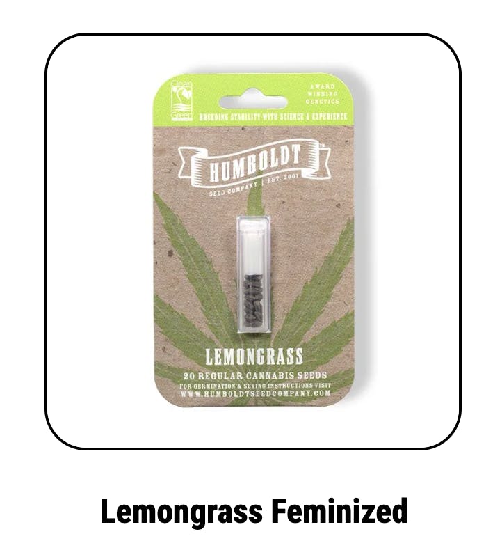 Lemongrass Feminized Seeds