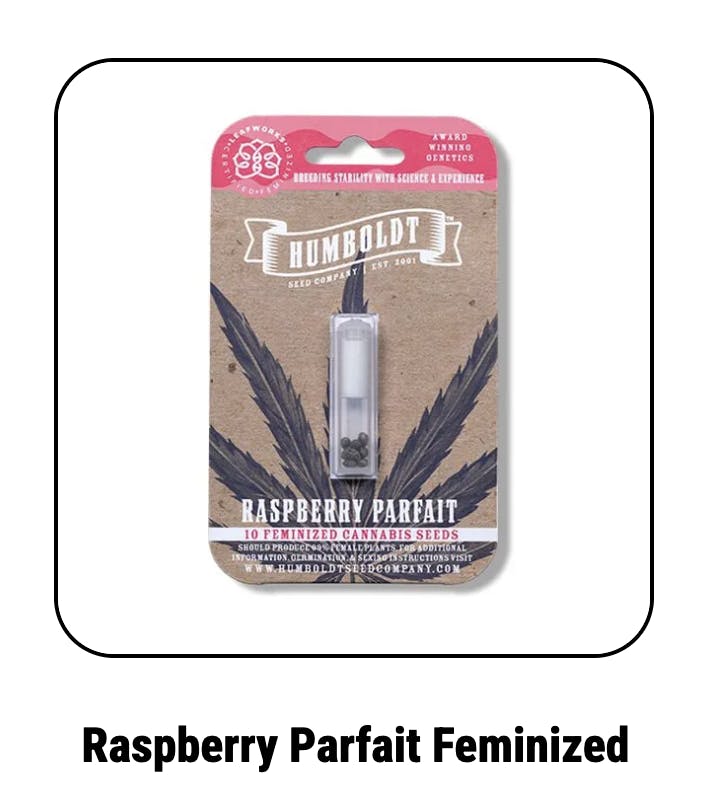 Raspberry Parfait Feminized Seeds