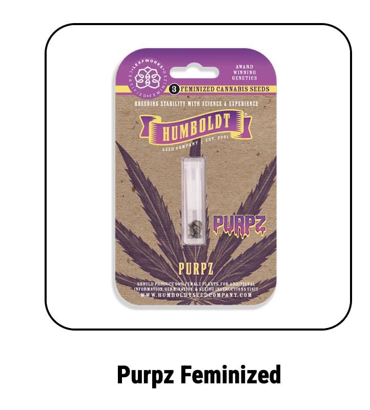 Humboldt Seed Company | Purpz | Feminized Seeds by Humboldt Seed Company