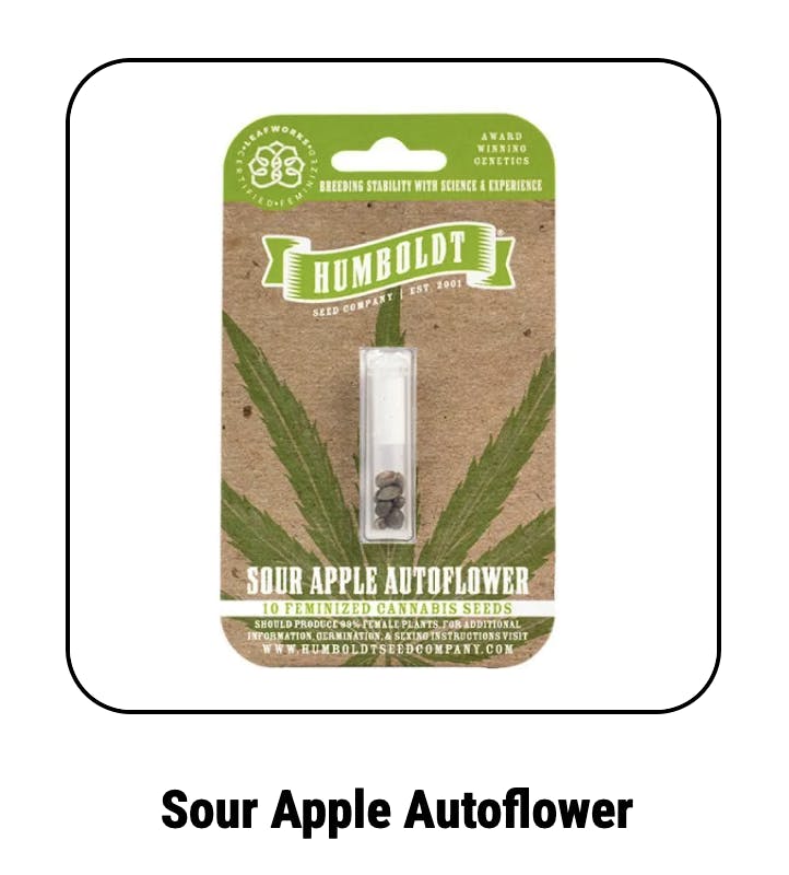 Sour Apple Autoflower Seeds