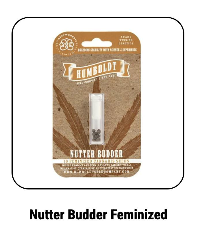 Humboldt Seed Company | Nutter Budder | Feminized Seeds