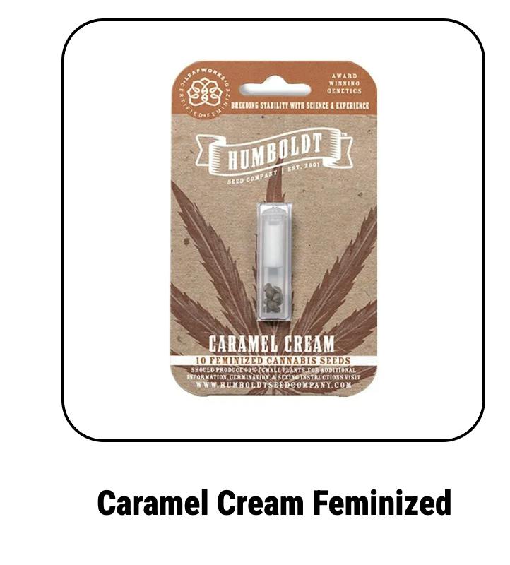 Humboldt Seed Company | Caramel Cream | Feminized Seeds at Elevation 2477' Cannabis Dispensary