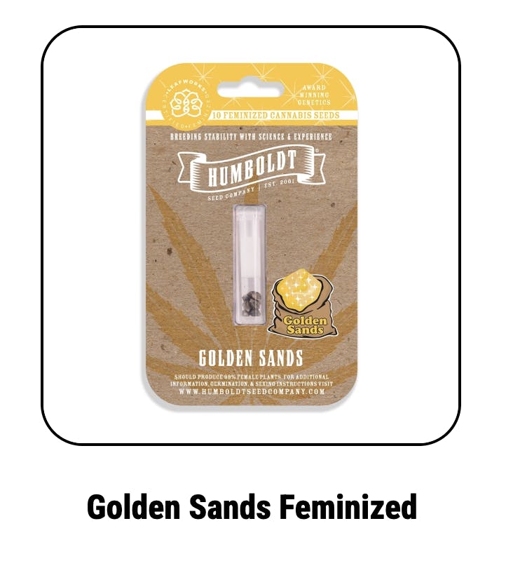 Company Golden Sands