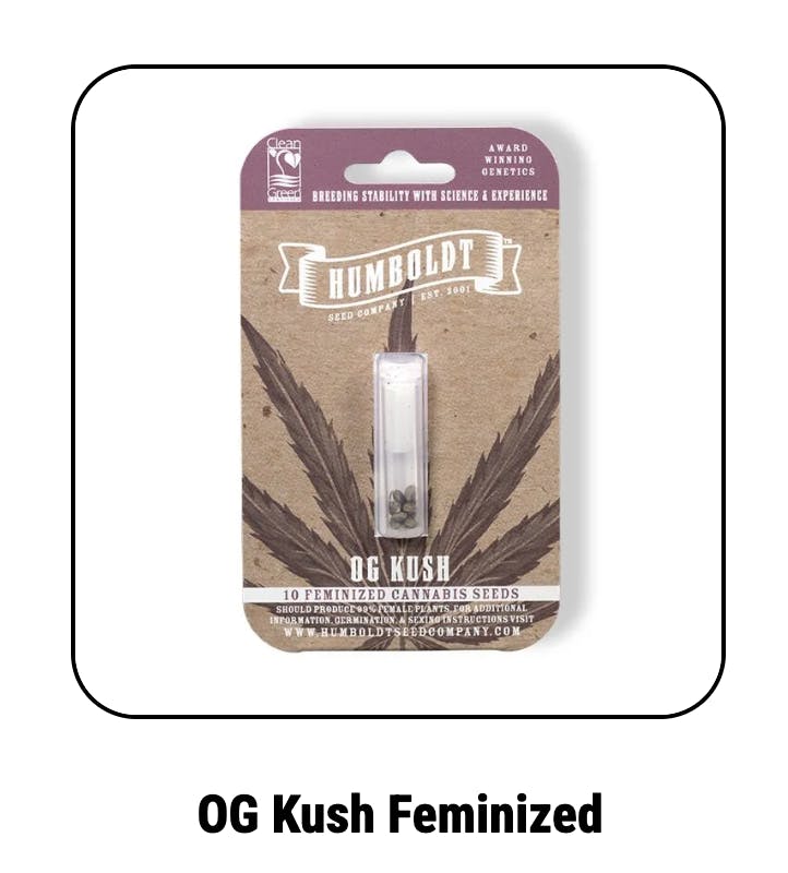 Og Kush Feminized Seeds