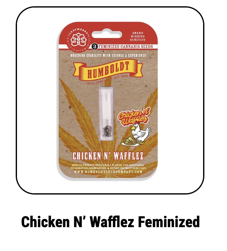 Chicken N’ Feminized Seeds