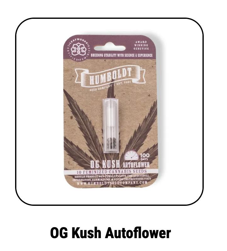 Humboldt Seed Company | OG Kush | Autoflower Seeds