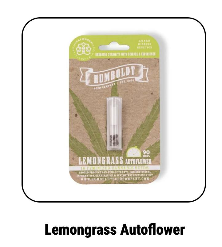 Humboldt Seed Company | Lemongrass | Autoflower Seeds