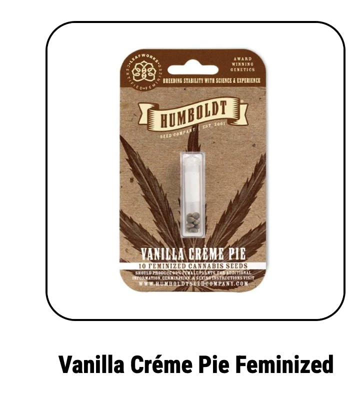 Vanilla Créme Pie Feminized Seeds
