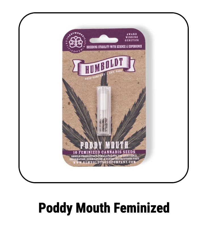 Poddy Mouth Feminized Seeds