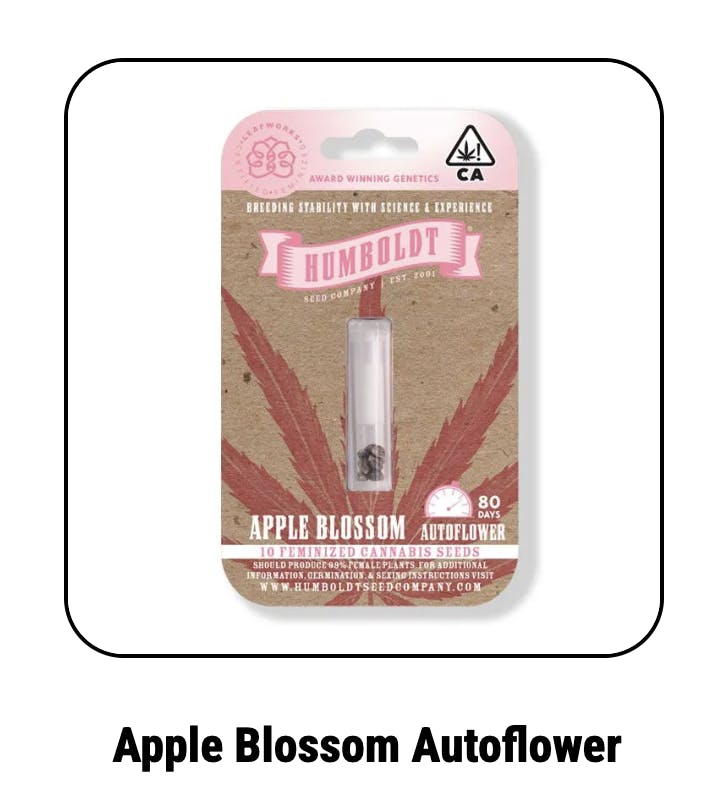 Apple Blossom Autoflower Seeds
