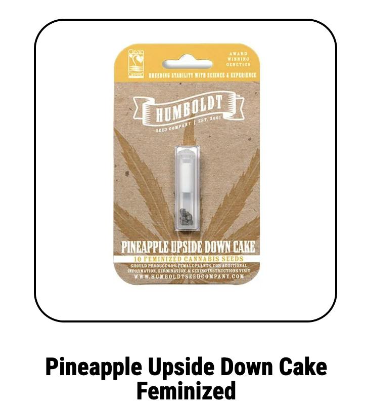 Humboldt Seed Company | Pineapple Upsidedown Cake | Feminized Seeds by Humboldt Seed Company