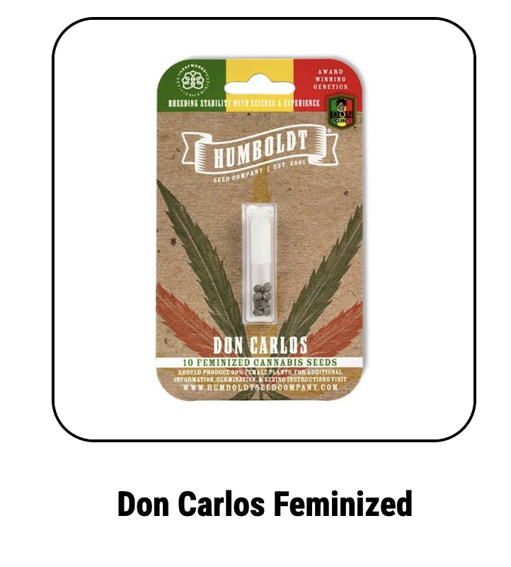 Don Carlos Feminized Seeds