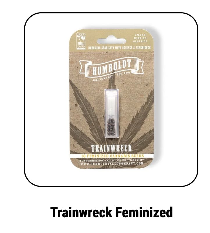 Trainwreck Feminized Seeds