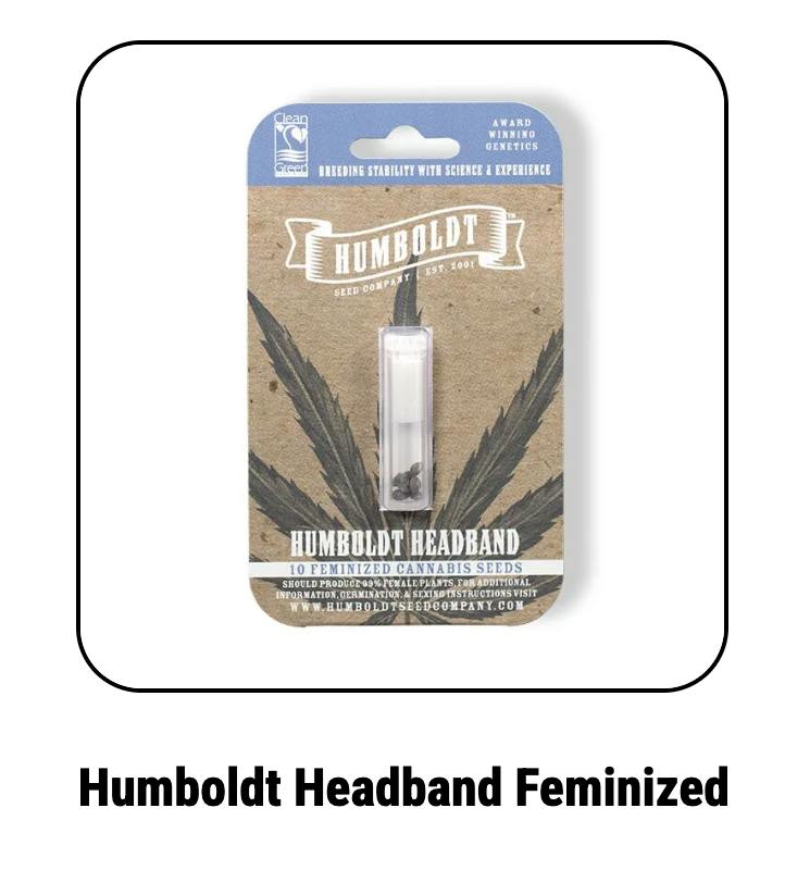 Company Headband Feminized
