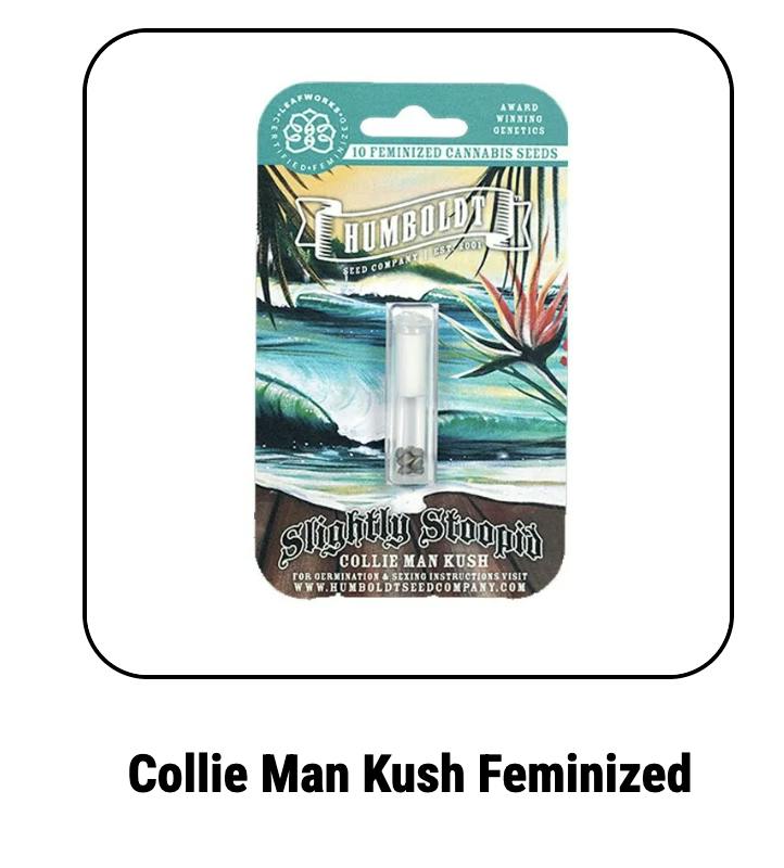 Humboldt Seed Company | Cob Salad | Feminized Seeds at Elevation 2477' Cannabis Dispensary