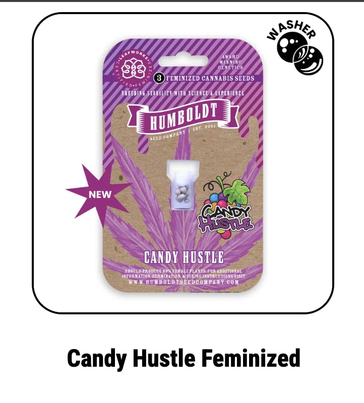 Candy Hustle Feminized Seeds