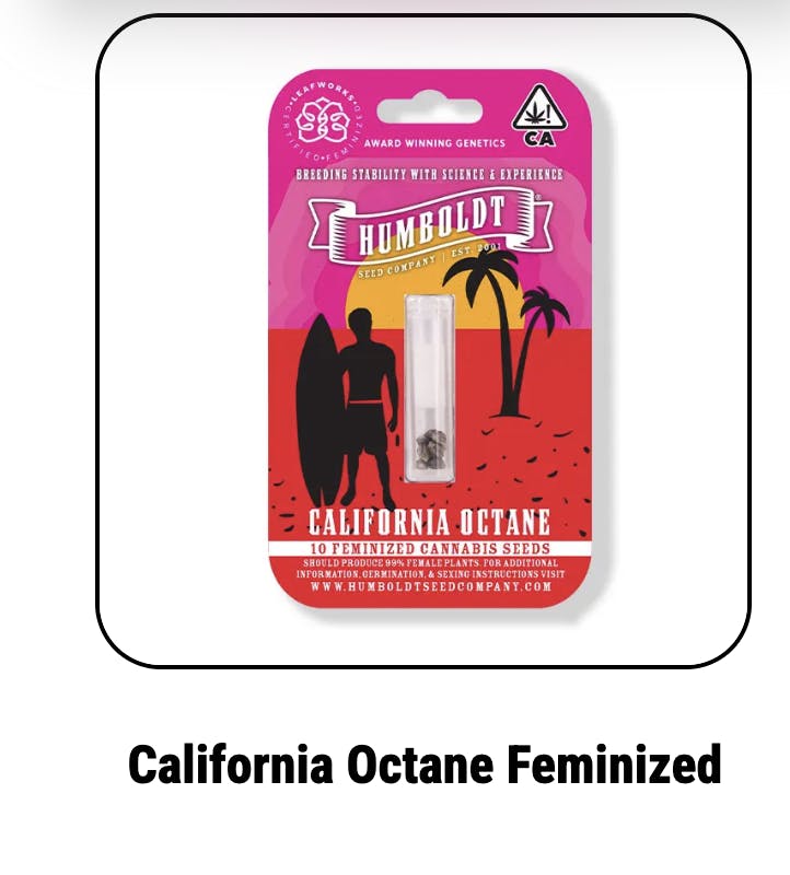 California Octane Feminized Seeds