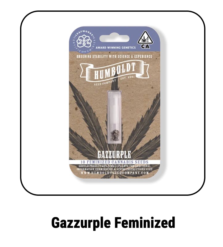 Gazzurple Feminized Seeds