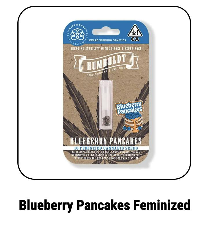 Humboldt Seed Company | Blueberry Pancakes | Feminized Seeds by Humboldt Seed Company