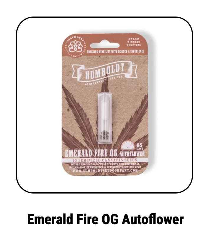 Emerald Fire Og Autoflower Seeds