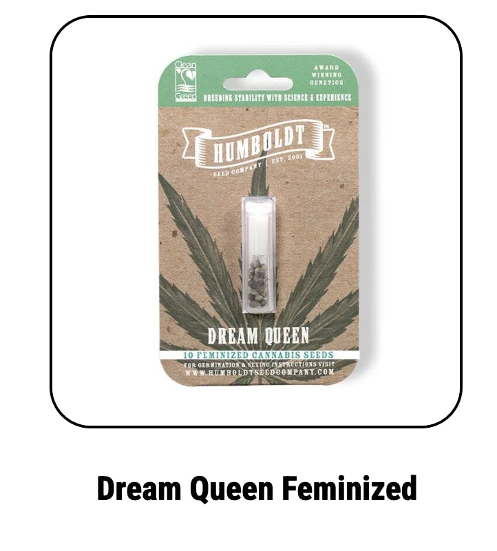 Humboldt Seed Company | Dream Queen | Feminized Seeds at Elevation 2477' Cannabis Dispensary